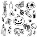 Set of vector drawings on the theme of halloween. black and white graphic drawings in vintage style. witchcraft, magic, spirituali